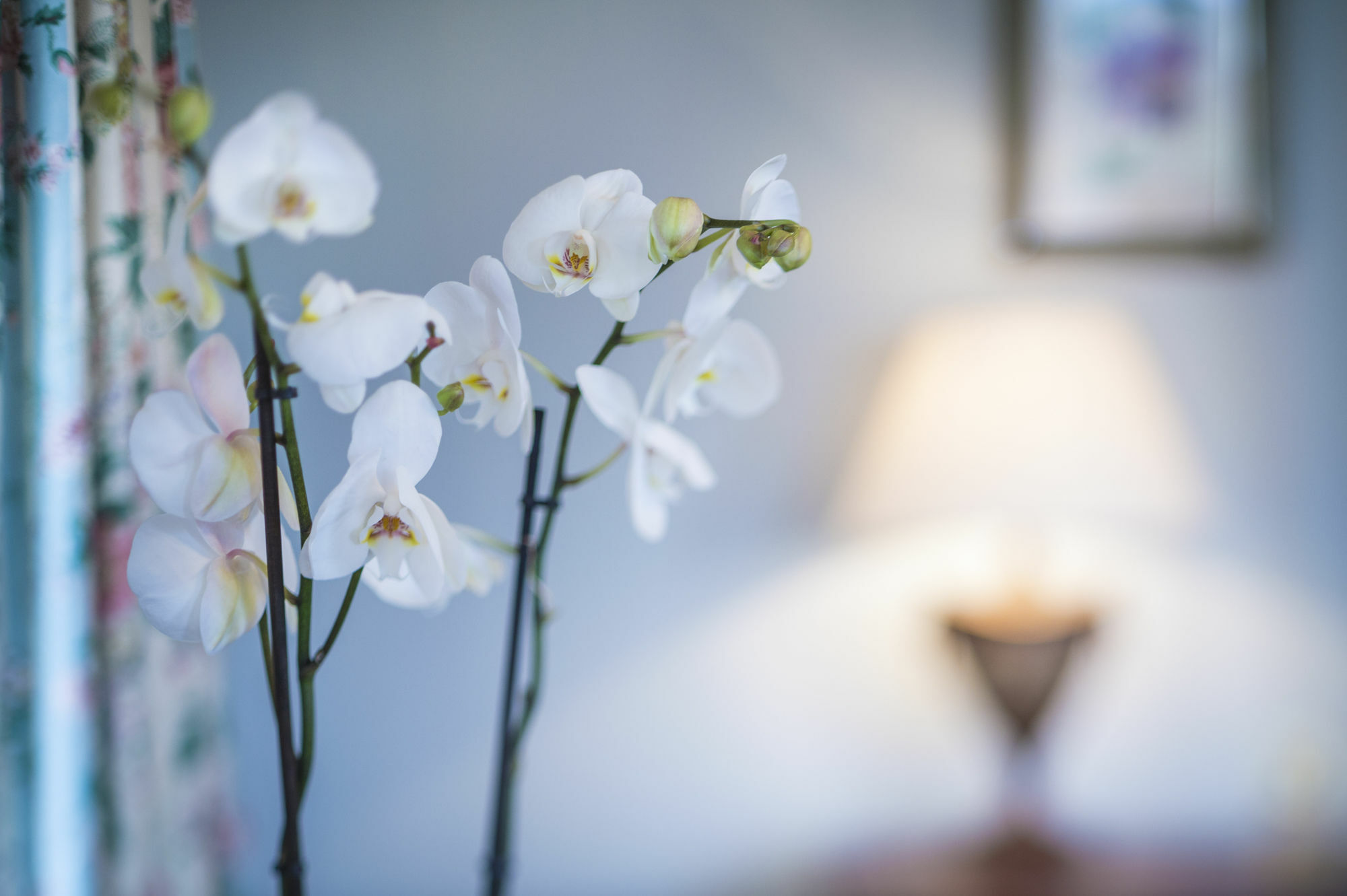 The Talbot, Malton, North Yorkshire 게스트하우스 외부 사진